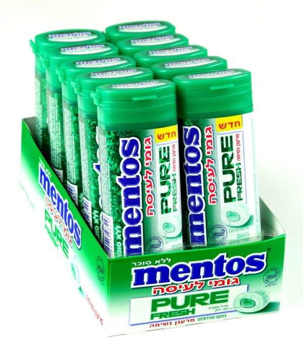 MENTOS PURE FRESH SPEARMINT GUM 10CT