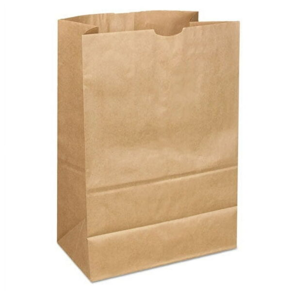 # 5   PAPER BAG 500CT