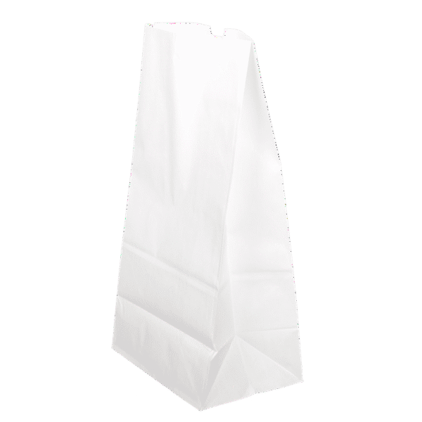 # 20   PAPER BAG 500CT